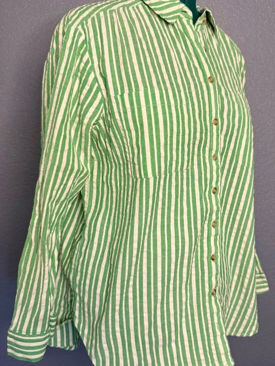 Pilcro Striped Button Down Shirt L Green White Cotton Long Sleeve - Picture 6 of 9
